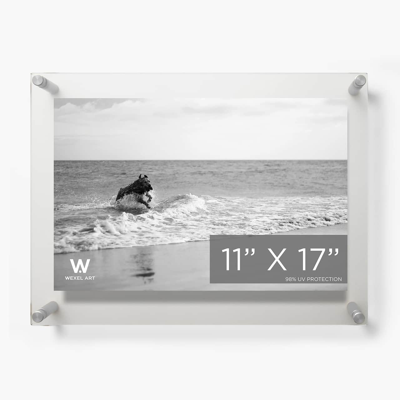 Wexel Art Double Panel Clear Acrylic Floating Wall Frame with Silver Hardware